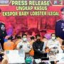 Ekspor Ribuan Baby Lobster Ilegal Diamankan Satreskrim Polresta Sidoarjo