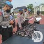 Polres Gresik Cek Senpi Secara Berkala
