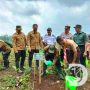 Perhutani Minimalisir Bencana Banjir, Tanam 1.100 Bibit Pohon di Lumbang Probolinggo