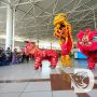 Meriahkan Imlek di Bandara Juanda Menampilkan Barongsai dan Liang-liong