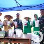 Program Ketahanan Pangan Korem 084/BJ, Panen Raya Padi Idaman dan Tanam Jagung