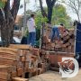 Gakkum KLHK Bersama Perhutani Bondowoso Bongkar Illegal Logging, Amankan 335 Batang Kayu Sonokeling