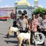 Polres Tuban Jelang Idul Adha 1444H Distribusikan Hewan Qurban 3 Sapi dan 19 Kambing