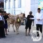 Kapolres Bojonegoro Serahkan Hewan Qurban di Hari Raya Idul Adha 1444H