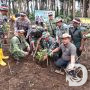 Perhutani dan Stakeholder Tanam Pohon, Lestarikan dan Hijaukan Negeri