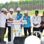 PLN Bangun PLTS 50 MW di IKN Nusantara Berbasis EBT, Presiden Jokowi Lakukan Groundbreaking
