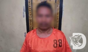 Polres Probolinggo tangkap tersangka Rudapaksa