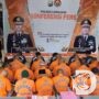 Polres Lumajang di Operasi Pekat Semeru 2024 Amankan Puluhan Tersangka