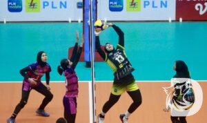 PLN Mobile Proliga 2024