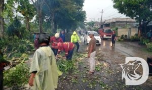 TNI Polri dan warga Tulungagung bantu tangani bencana puting beliung