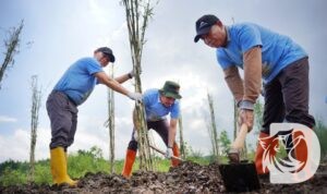 PLN mendukung suksesnya panen raya