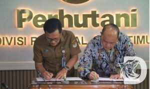 Perhutani Divre Jatim dan SMK Kehutanan Negeri Kadipaten lakukan kerjasama