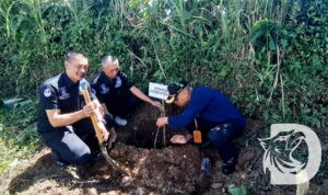 Perhutani Probolinggo, Bupati Lumajang dan Forkopimda Lumajang lakukan tandur bareng