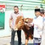 Danrem 084/BJ Serahkan Hewan Qurban ke Panitia di Masjid Al-Wathon