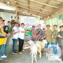 Perhutani KPH Jember Serahkan Hewan Qurban ke Masyarakat Hutan Dusun Grintingan Desa Lojejer