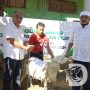 Perhutani Probolinggo Serahkan Bantuan TJSL Hewan Qurban ke Mushola Al-Hikmah