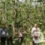 Perhutani Probolinggo dan Polsek Paiton Gelar Patroli Gabungan Gangguan Keamanan Hutan