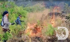 Polres Malang dan tim gabungan padamkan kebakaran hutan