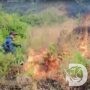Polres Malang dan Tim Gabungan Padamkan Kebakaran Hutan di Bukit Pager Watu