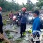 Polres Bojonegoro Evakuasi Pohon Tumbang Akibat Puting Beliung