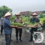 Polresta Sidoarjo Serahkan Bibit Tanaman ke Warga, Gelorakan Swasembada Pangan