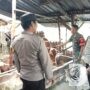 Kapolsek Kanor Sosialisasi Langsung Pencegahan PMK pada Hewan