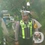 Patroli Kawasan Wisata, Satlantas Polres Gresik Evakuasi Pohon Tumbang