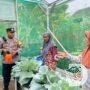 Program Ketahanan Pangan, Polres Probolinggo Kota Dampingi KWT Manfaatkan Pekarangan