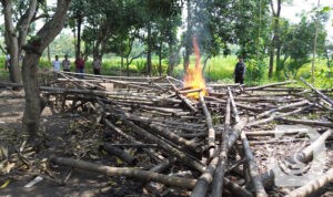 Polres Pasuruan Kota dan bongkar tempat sabung ayam