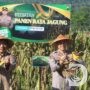 Polres Pacitan dan Warga Panen Jagung, Wujudkan Ketahanan Pangan Nasional