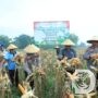 Polres Bangkalan bersama Tiga Pilar Panen Raya Jagung Tahap Kedua