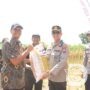 Polres Bojonegoro dan Forkopimda Dukung Swasembada Pangan Panen Raya Jagung
