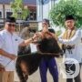 Idul Adha 1446H, Polres Bojonegoro Salurkan Hewan dan Daging Qurban