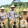 Polres Blitar Kota Gelar Panen Raya Jagung, Perkuat Ketahanan Pangan