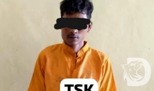 Polisi tangkap tersangka Curanmor beserta barang buktinya