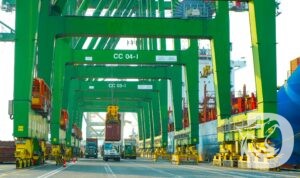 Arus Petikemas Terminal Teluk Lamong