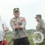 Dukung Ketahanan Pangan dan Program MBG, Kapolres Nganjuk Panen Raya Tomat