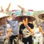 Dukung Swasembada Pangan Nasional, Polres Nganjuk Panen Raya Jagung di Rejoso