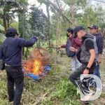 Polresta Malang Kota bongkar arena judi sabung ayam
