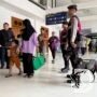 Pastikan Keamanan saat Nataru, KAI Daop 8 Gandeng Detasemen K9