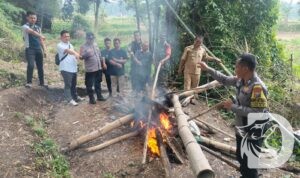 Polres Pasuruan bongkar judi sabung ayam