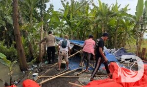 Polresta Sidoarjo bongkar judi sabung ayam