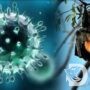 Waspada Virus Nipah! Kenali Penyebab dan Gejalanya