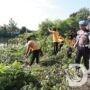 Polda Jatim Gelar Kerja Bakti, Dukung Program Gerakan Indonesia Asri