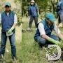 120 Bibit Pohon Pinus Ditanam TPS di Coban Talun, Perkuat Pelestarian Lingkungan 