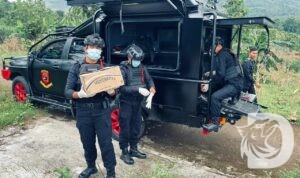 Gegana Brimob Polda Jatim musnahkan bubuk mercon