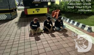 Polres Gresik amankan pemuda konvoi SOTR