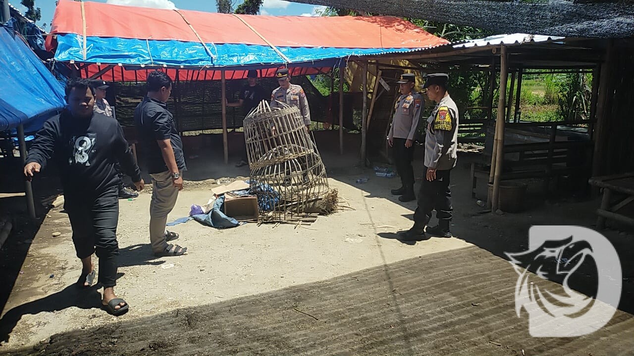 DetikNews content image