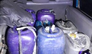 Polres Jember amankan tersangka bersama barang buktinya