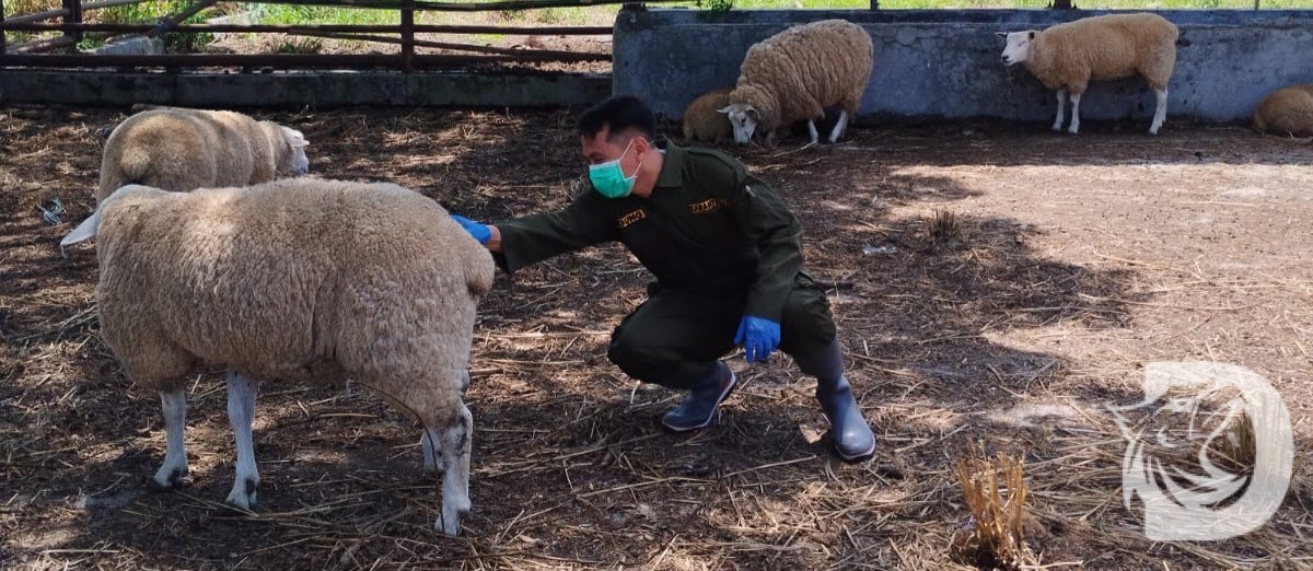 DetikNews content image